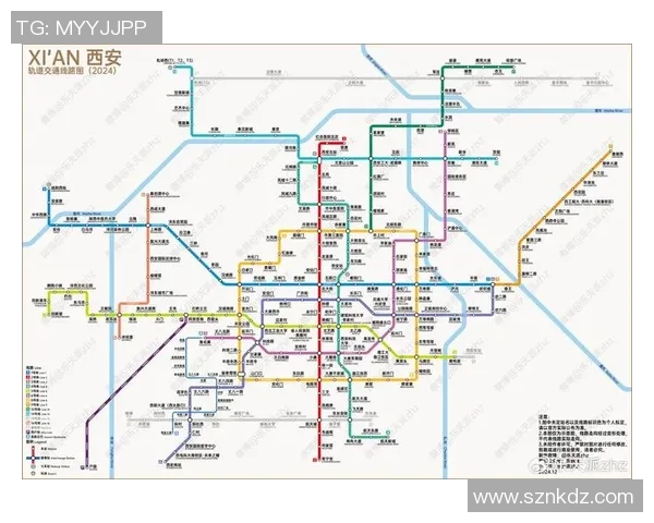 西安排球队运营模式解析与排球市场发展趋势探讨