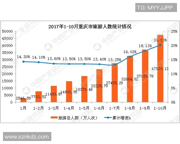 重庆排球队比赛经验分析与数据表现探讨